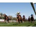  Carrera: P.Maracay Monta: G. Arguinzones Caballo: Earthview